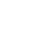 caseIcon